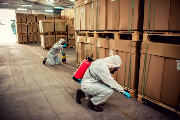 Professional Pest Control in Mill Hall, PA